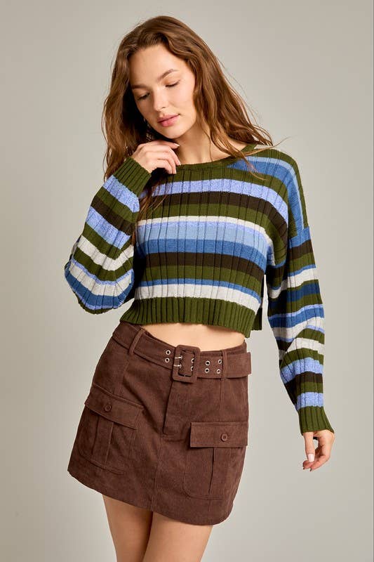 Ribbed Stripe Printed Crop Sweater